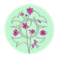 New Incipience logo