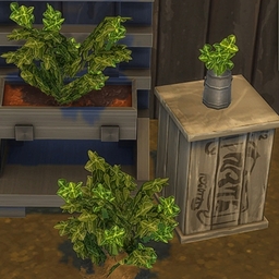 Oregano by BrazenLotus Spanish translation