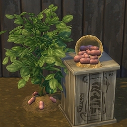 Red Potatoes by BrazenLotus Spanish translation