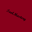 ToolMastery logo