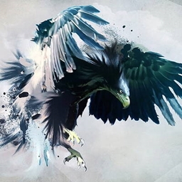 Frenzy Hawks logo