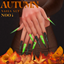 Autumn Nails Set N004 logo