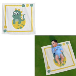 Baby Dinosaur Infant Default Replacement Rug