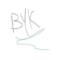The BYK Pack logo