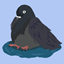 Wet Pigeon logo