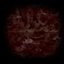 Spores logo