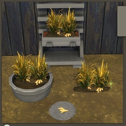 Ginger by BrazenLotus Spanish translation