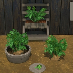 Sweet Mint by BrazenLotus Spanish translation