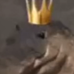 Tinker's Poggers Mineirinho ultra adventures logo