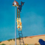 ShinnyLadders logo