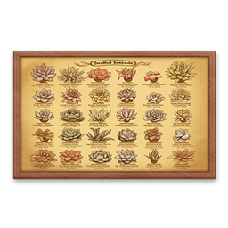 Succulents Menu Board #1 Samtuse963 logo