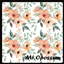 Mr.Opossum eliza wall logo