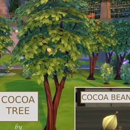 ✨🍫✨ cocoa bean  by icemunmun Spanish translation -ES ✨
