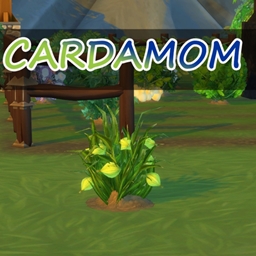 ✨🌿✨ Cardamom by icemunmun Spanish translation -ES ✨