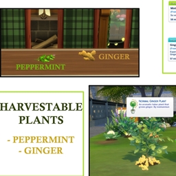  3.261 / 5.000 ✨ Growable Ginger and Mint by icemunmun Spanish translation -ES ✨