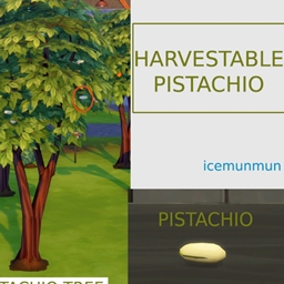 ✨🌰✨ Harvestable Pistachio by icemunmun Spanish translation ✨
