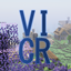 Vibracraft: Chapter One logo