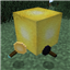 InvisibLights avatar