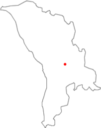 GovnoZborka Pro logo