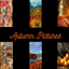 Autumn Pictures logo