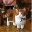cool dogs and cats pack logo