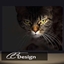 Cat Picture logo
