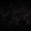 Dark7 logo