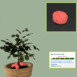 Red Potato (harvestable)by Pied Piper Spanish translation