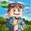 Flash-SMP Primeblocks logo