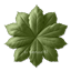 Fluffy Leaf Dance Rug #7 Samtuse963 logo
