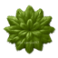 Fluffy Leaf Dance Rug #8 Samtuse963 logo
