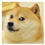 DogeSMP logo
