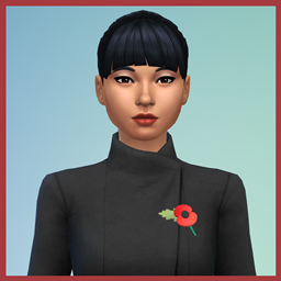 Remembrance Poppies - Buzzard logo