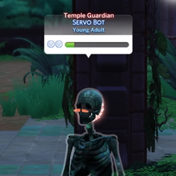 Jungle Adventure NPC Definition