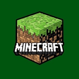 Flyings Custom SMP logo