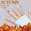 Autumn Nails Set N010 logo