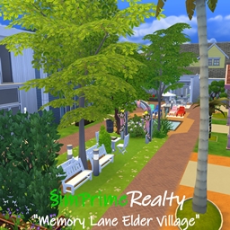 Memory Lane Elder Village