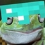  Small Enchancement Survival logo
