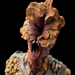 TheLastOfUs