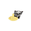 DOOM Pack Lite logo