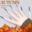Autumn Nails Set N012 logo