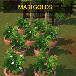 ✨ Marigold Set by icemunmun Spanish translation -ES ✨