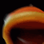 Gator Gyatt logo
