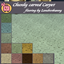 Chunky Carved Carpeting logo