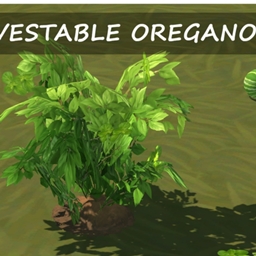 ✨ Growable Oregano by icemunmun Spanish translation -ES ✨
