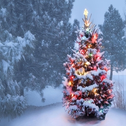 Winterwunder project image