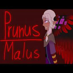 Prunus Malus