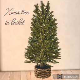 Xmas tree in basket