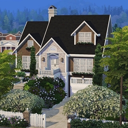 Beautiful American House | No CC
