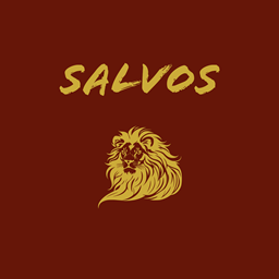 SALVOS project image